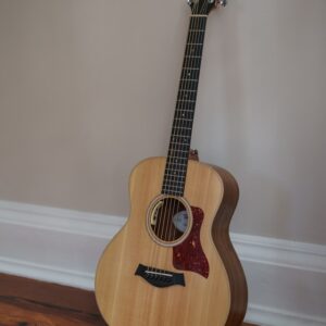 acoustic guitar
