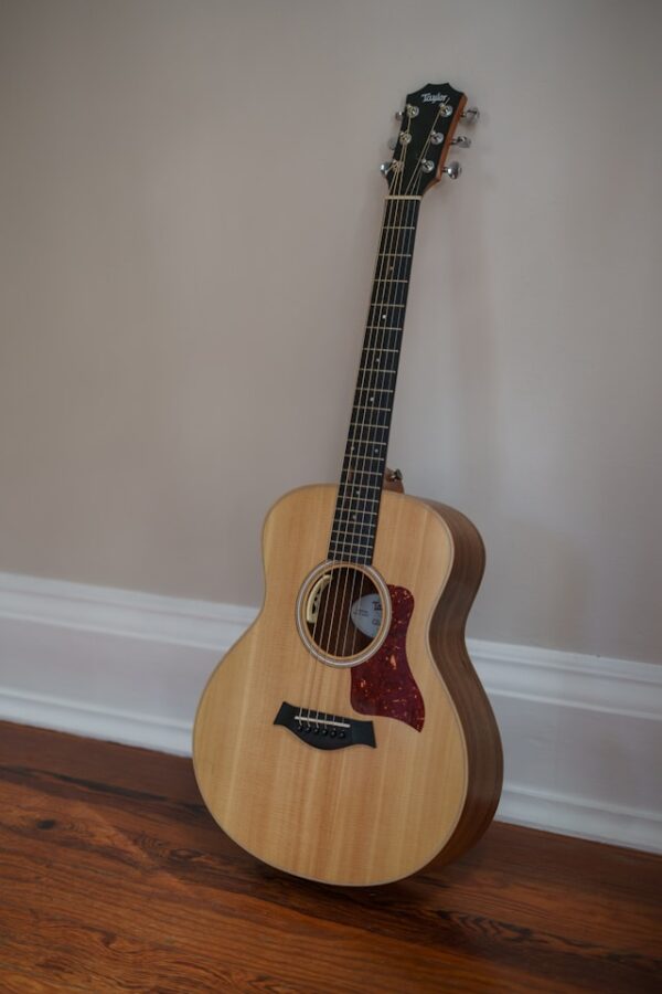 acoustic guitar